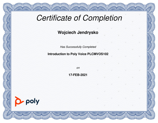 Introduction to Poly Voice